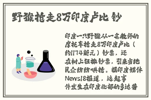 午夜性**A片免费AAA毛片